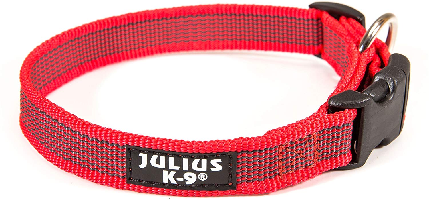 фото Ошейник для собак повседневный julius-k9 color & gray, обхват шеи 52 см, красно-серый