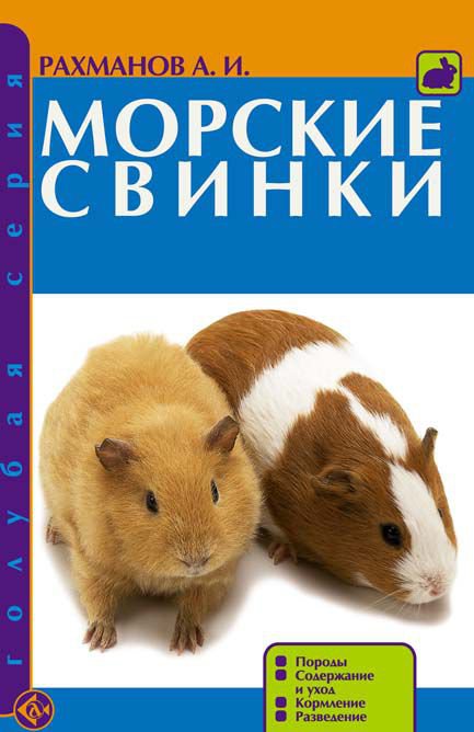 

Морские свинки. Породы. Содержание и уход. Кормление. Разведение