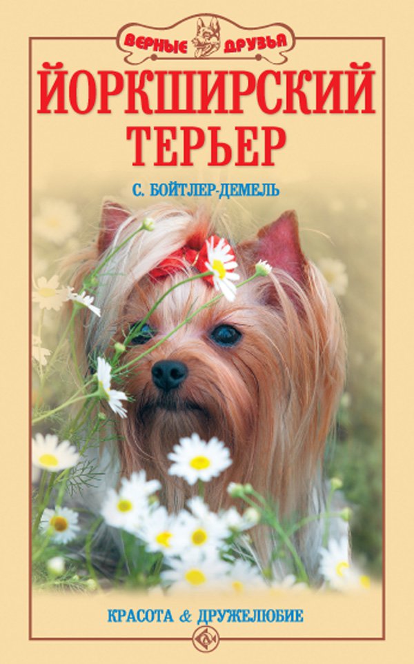 

Йоркширский терьер. Красота и дружелюбие