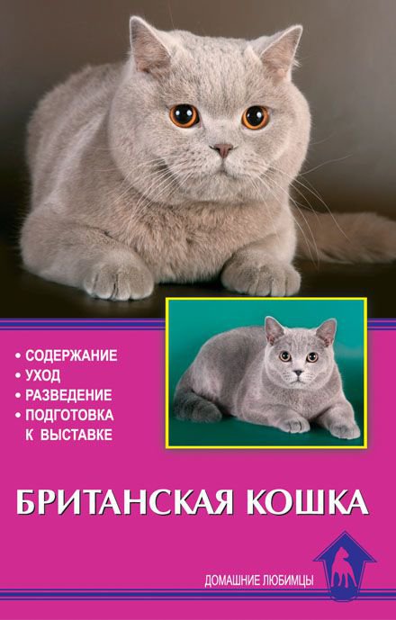 фото Книга британская кошка. содержание. уход. разведение. подготовка к выставке аквариум-принт