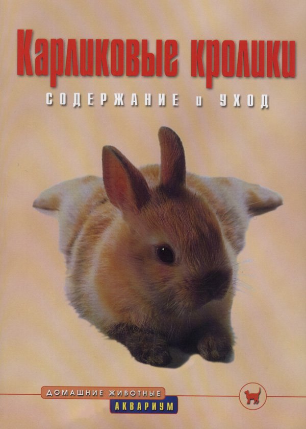 

Карликовые кролики. Содержание и уход