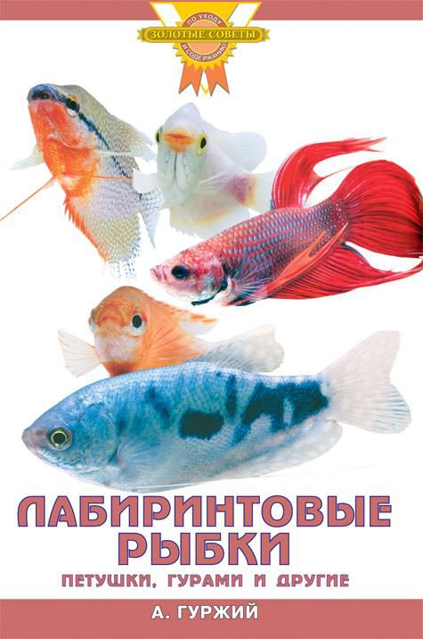 фото Книга лабиринтовые рыбки. петушки, гурами и другие аквариум-принт