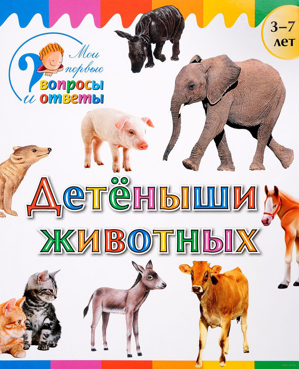 

Детеныши животных