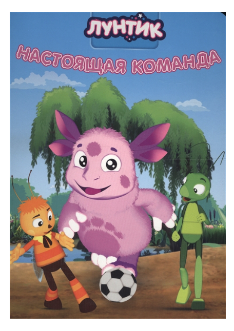 

Лунтик. Настоящая команда