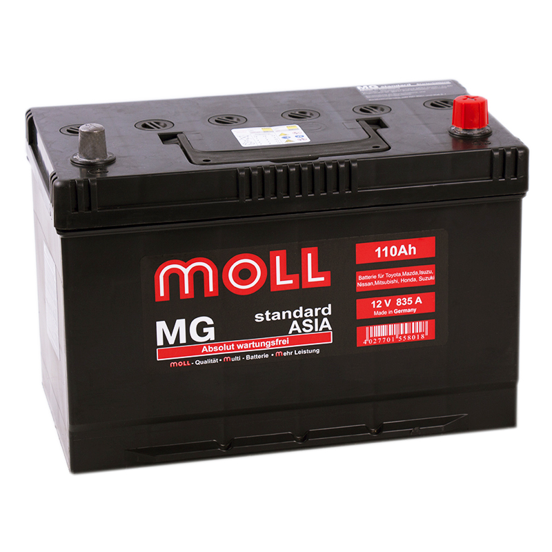 фото Аккумулятор moll mg 110jr 581