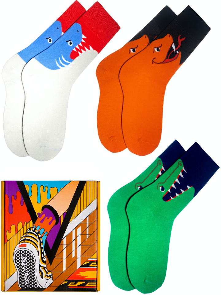 

Подарочный набор носков женских Tatem Socks 803 разноцветных 36-40, 803