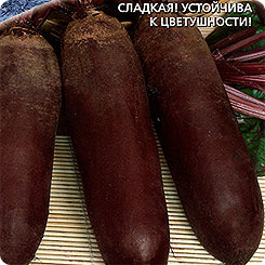 

Семена Свекла Генеральская, 2 г, Уральский дачник, 187581