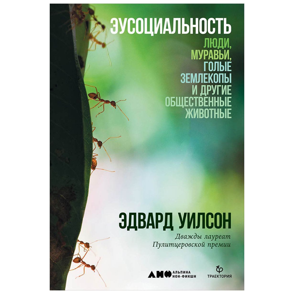 фото Книга эусоциальность: люди, муравьи, голые землекопы и другие общественные животные альпина паблишер