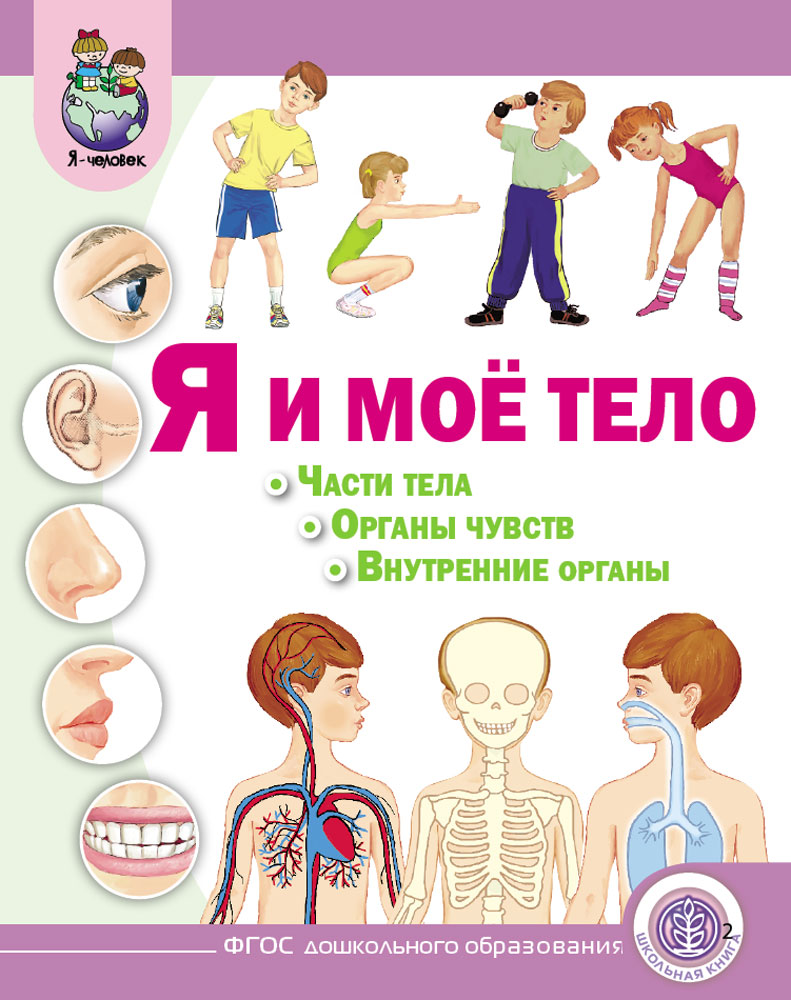 

Я и моё тело: Части тела. Органы чувств. Внутренние органы