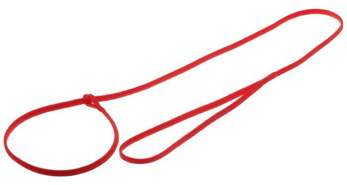 фото Поводок-затяжка для собак zooone с петлёй (лента-чулок), красный, 5 мм x 90 см