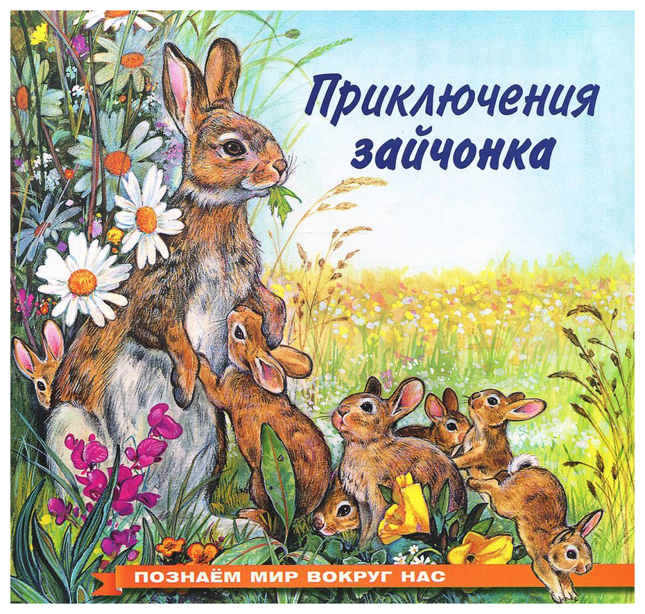 

Приключения зайчонка