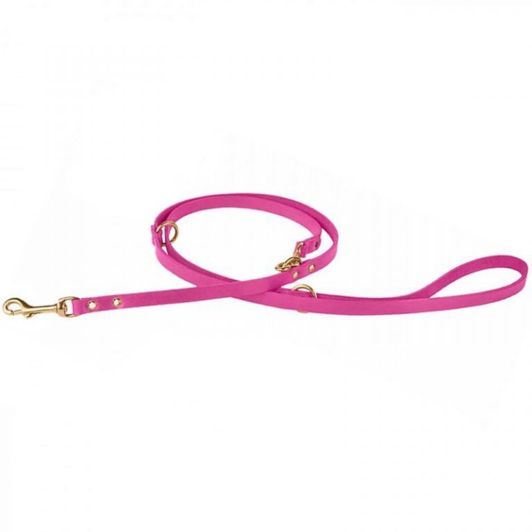 фото Поводок-перестёжка для собак zooone , 10 мм x 2 м (розовый)