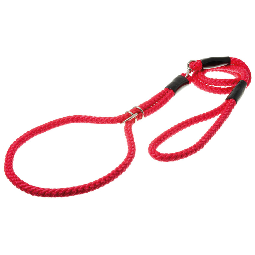 Ринговка для собак ZooOne с кольцом, 10 мм, красная