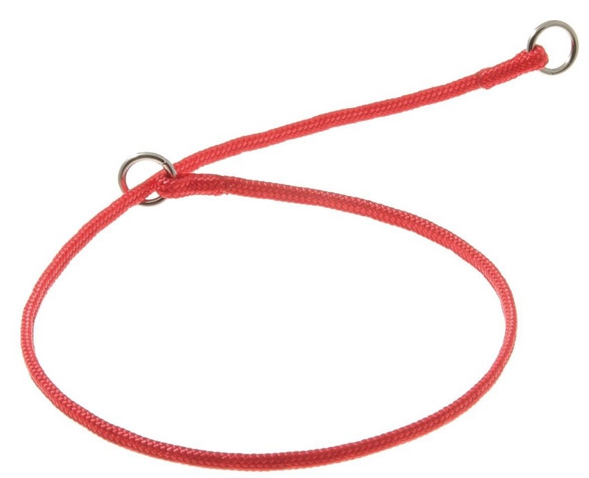 ZooOne Ошейник-удавка с двумя кольцами, круглый, 6 мм x 85 см (красный)