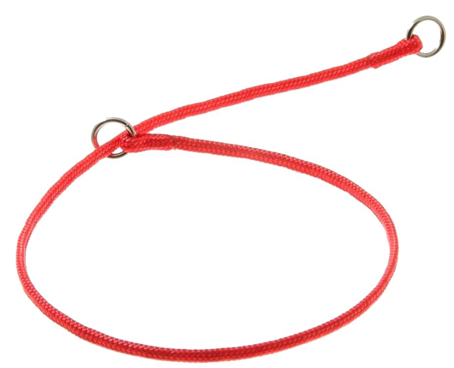 фото Zooone ошейник-удавка с двумя кольцами, круглый, красный, 3 мм x 55 см