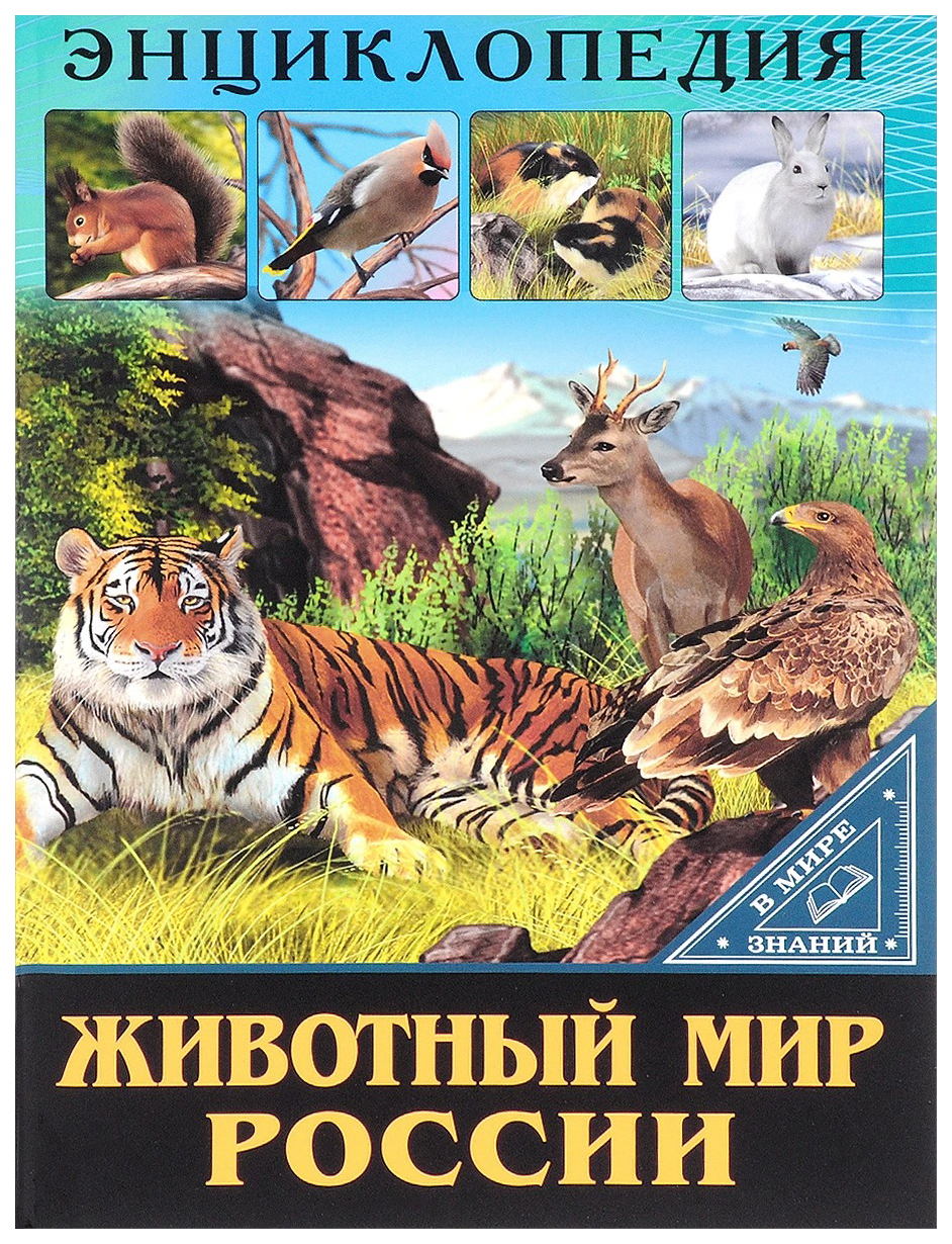 

Животный мир россии