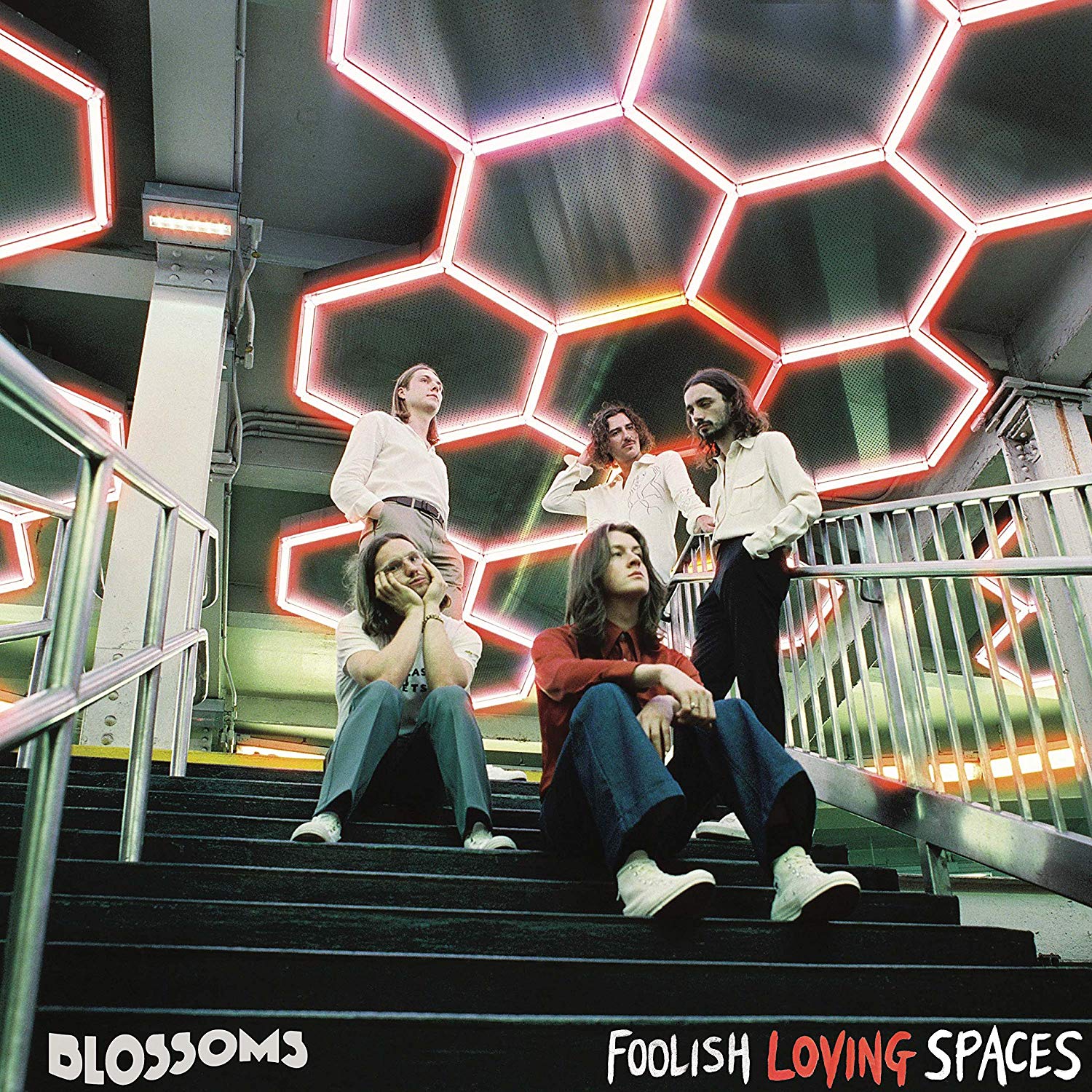 фото Blossoms - foolish loving spaces мистерия звука