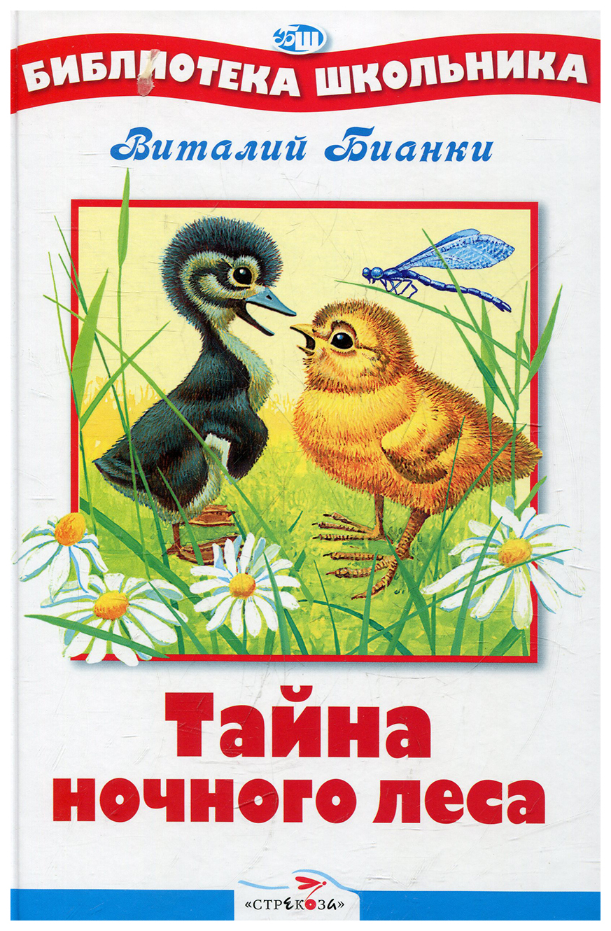 

Тайна ночного леса