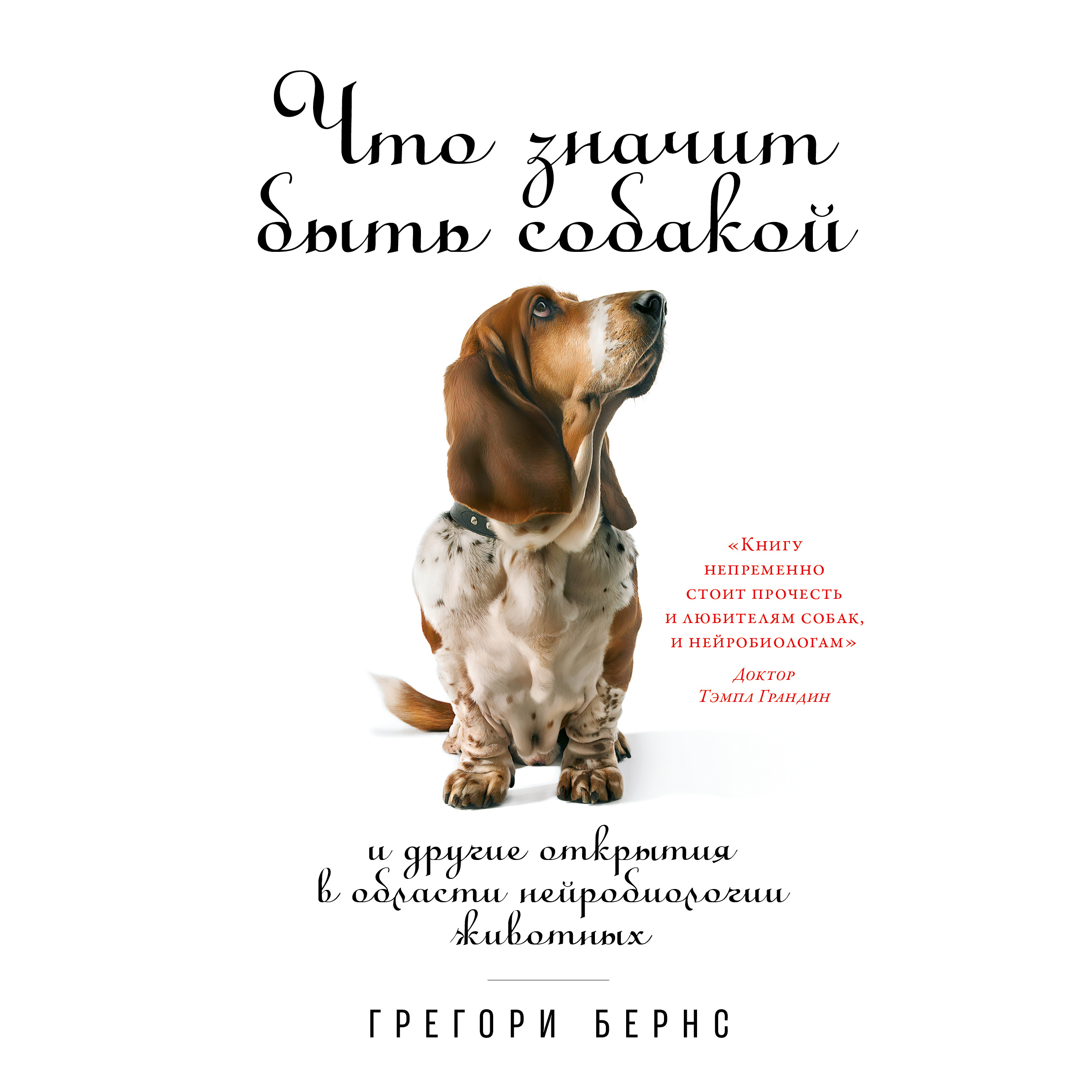 фото Книга что значит быть собакой: и другие открытия в области нейробиологии животных альпина паблишер