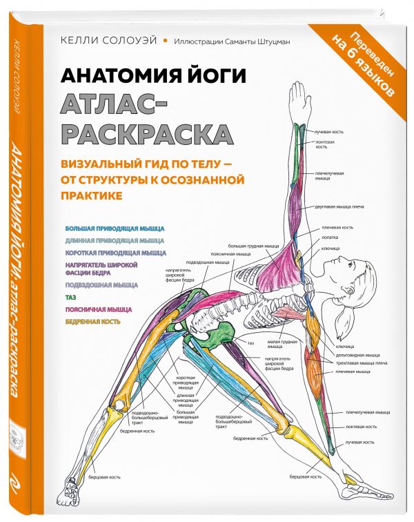 фото Книга анатомия йоги: атлас-раскраска. визуальный гид по телу — от структуры к осознанн... эксмо