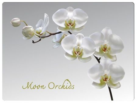 фото Подставки на пробке лунная орхидея 40х29 см (4шт) top art studio