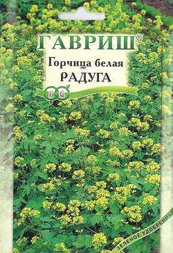 

Семена горчица Радуга Гавриш