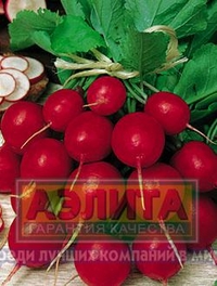 

Семена. Редис "Илке"