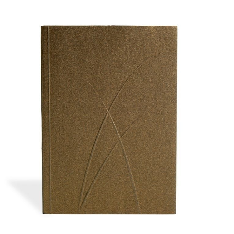 

Записная книжка PaperOh Puro Bronze A5, Midi