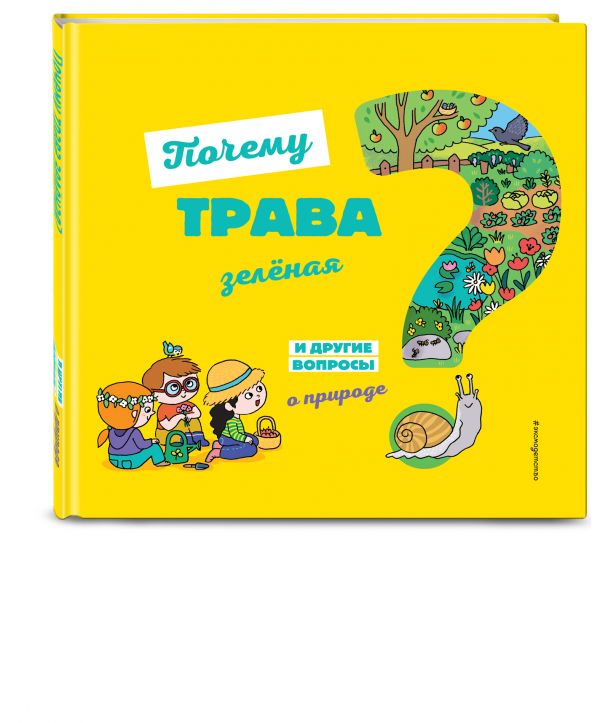 

Почему трава зелёная И другие вопросы о природе