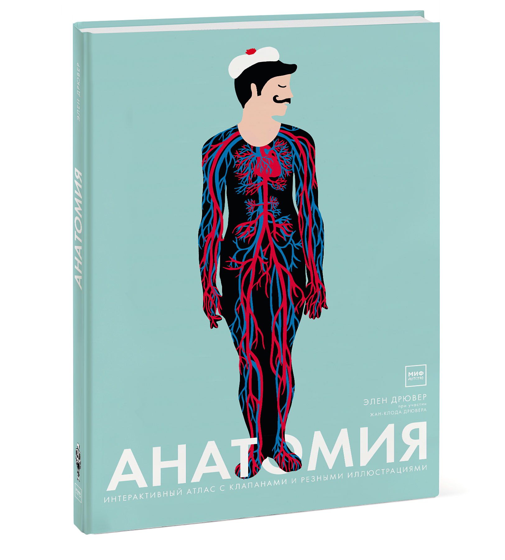

Анатомия