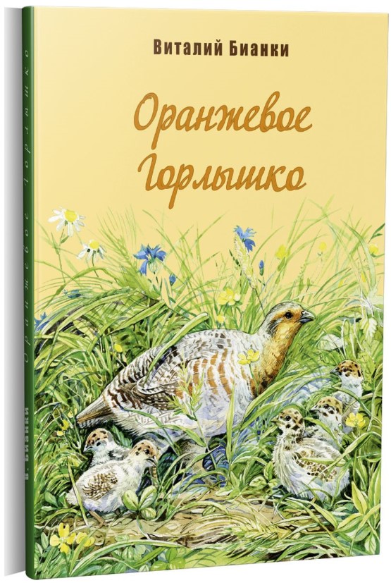 

Оранжевое горлышко