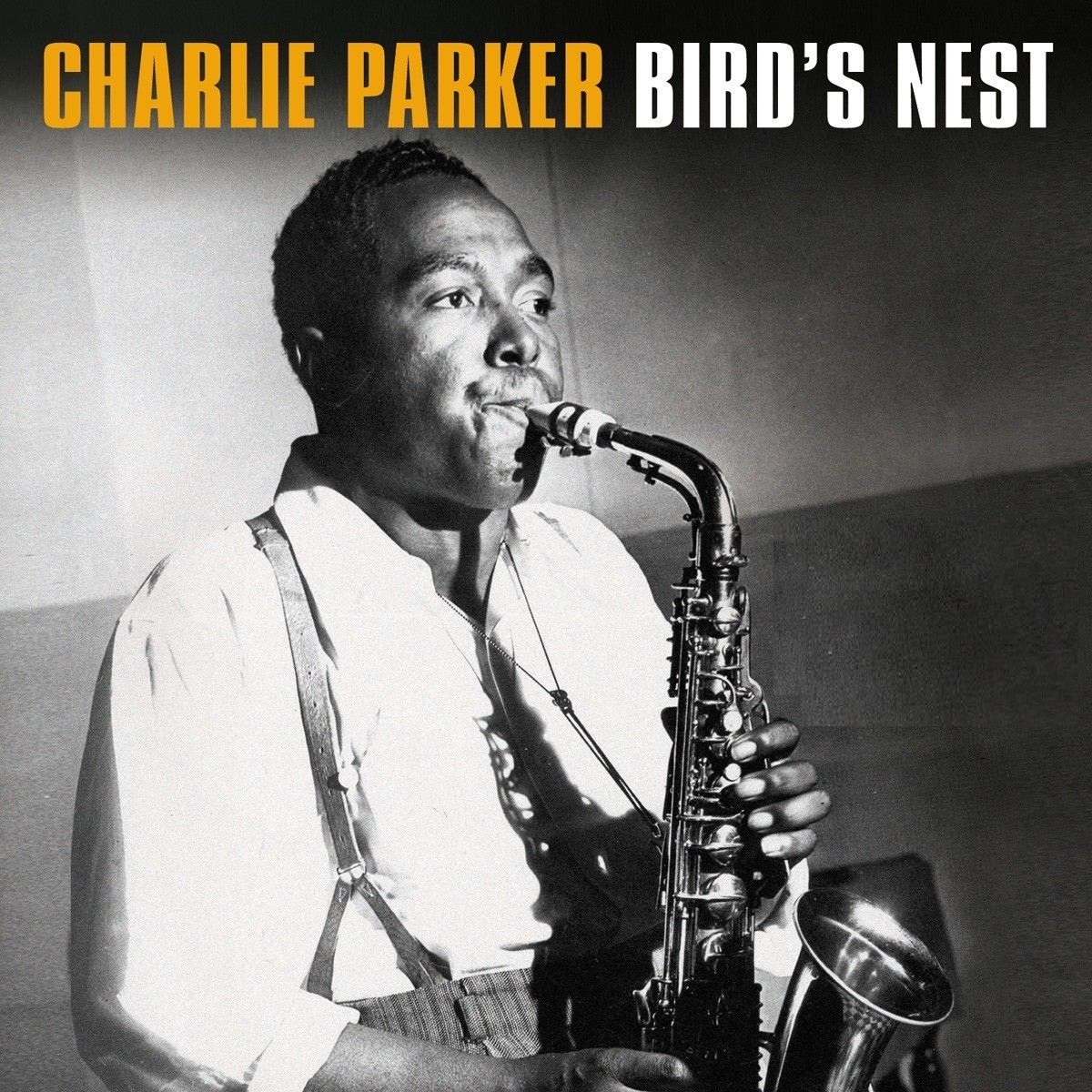 

Charlie Parker Bird's Nest