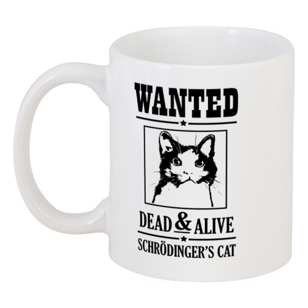 фото Кружка printio кот шрёдингера