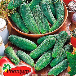 

Семена Огурец Клавдия Премиум F1, 10 шт, Premium seeds, 188601