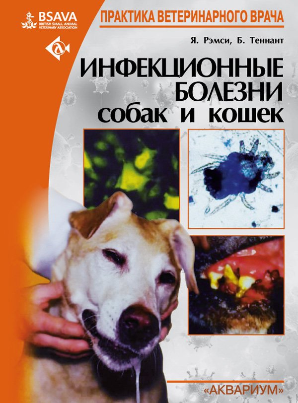 фото Книга инфекционные болезни собак и кошек аквариум-принт