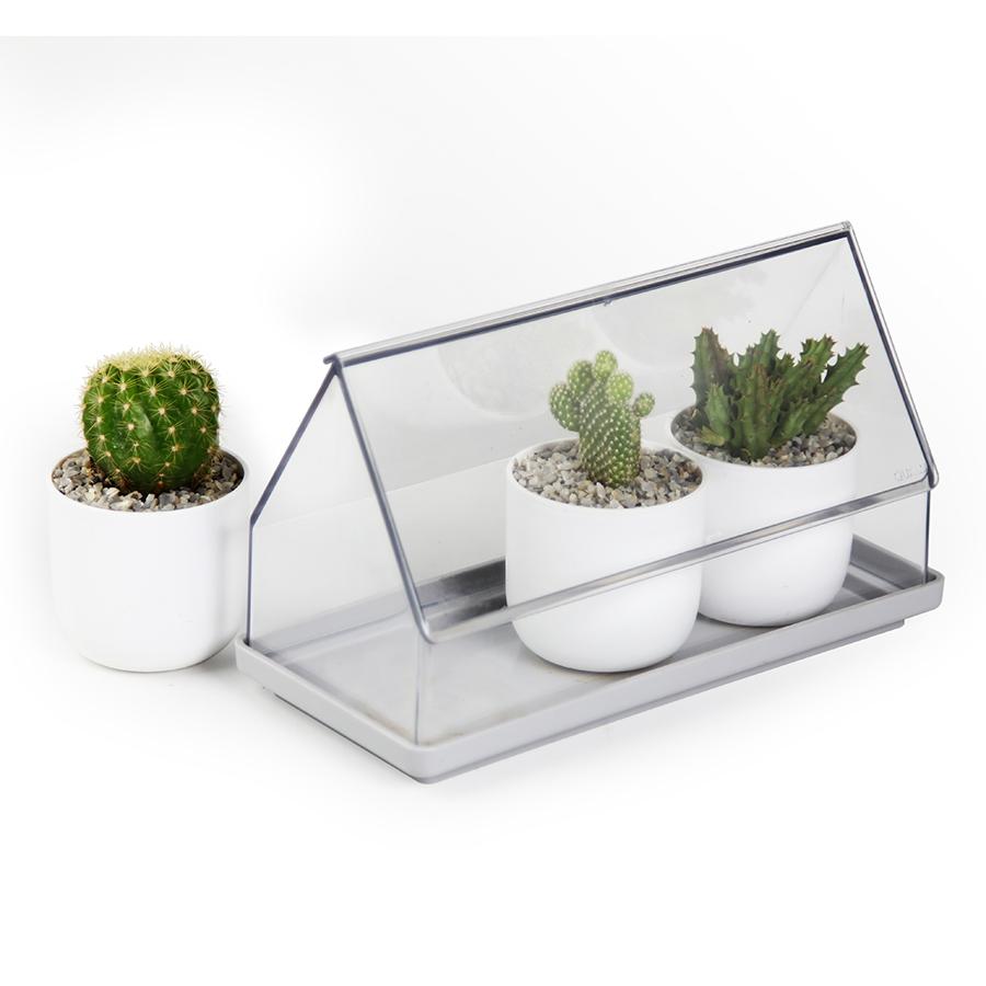 

Лоток для выращивания растений Micro Green House прозрачный