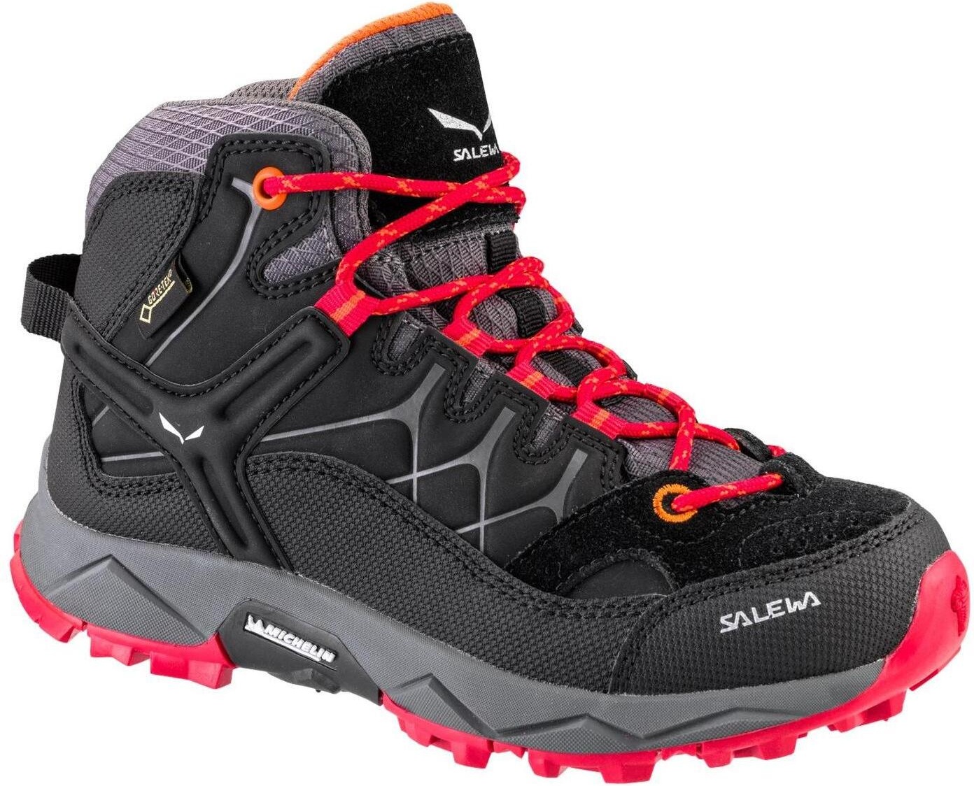 Salewa Alp Trainer Mid GTX