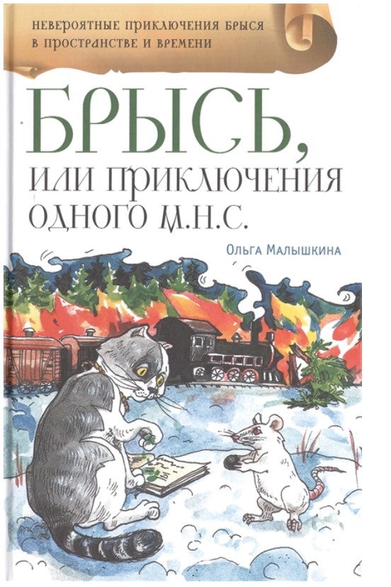 

Брысь, или приключения одного м.н.с.