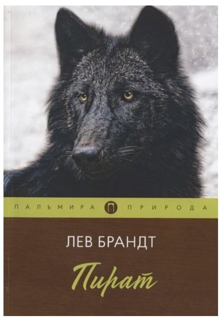 

Пират