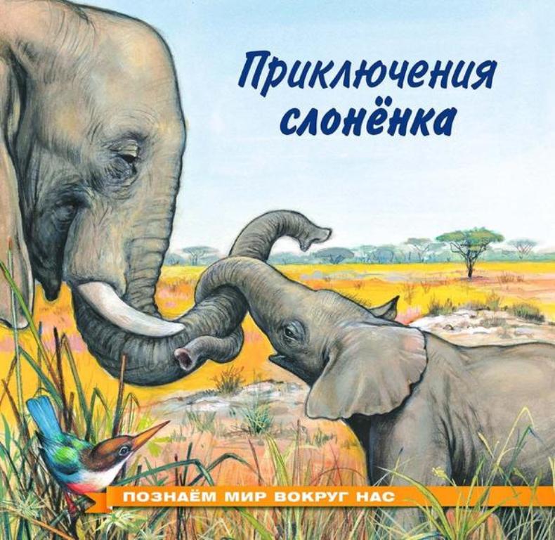 

Приключения слонёнка