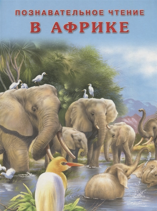 

В Африке