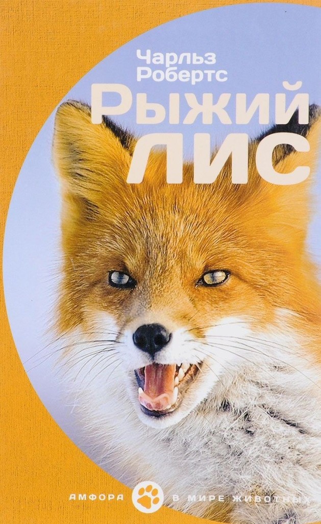 

Рыжий лис
