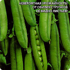 

Семена Горох сахарный Малолистный, 8 г, Уральский дачник, 196144