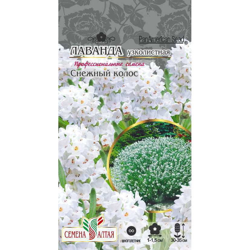 

Семена Лаванда узколистная Снежный колос, 5 шт, PanAmerican Seeds семена Семена Алтая