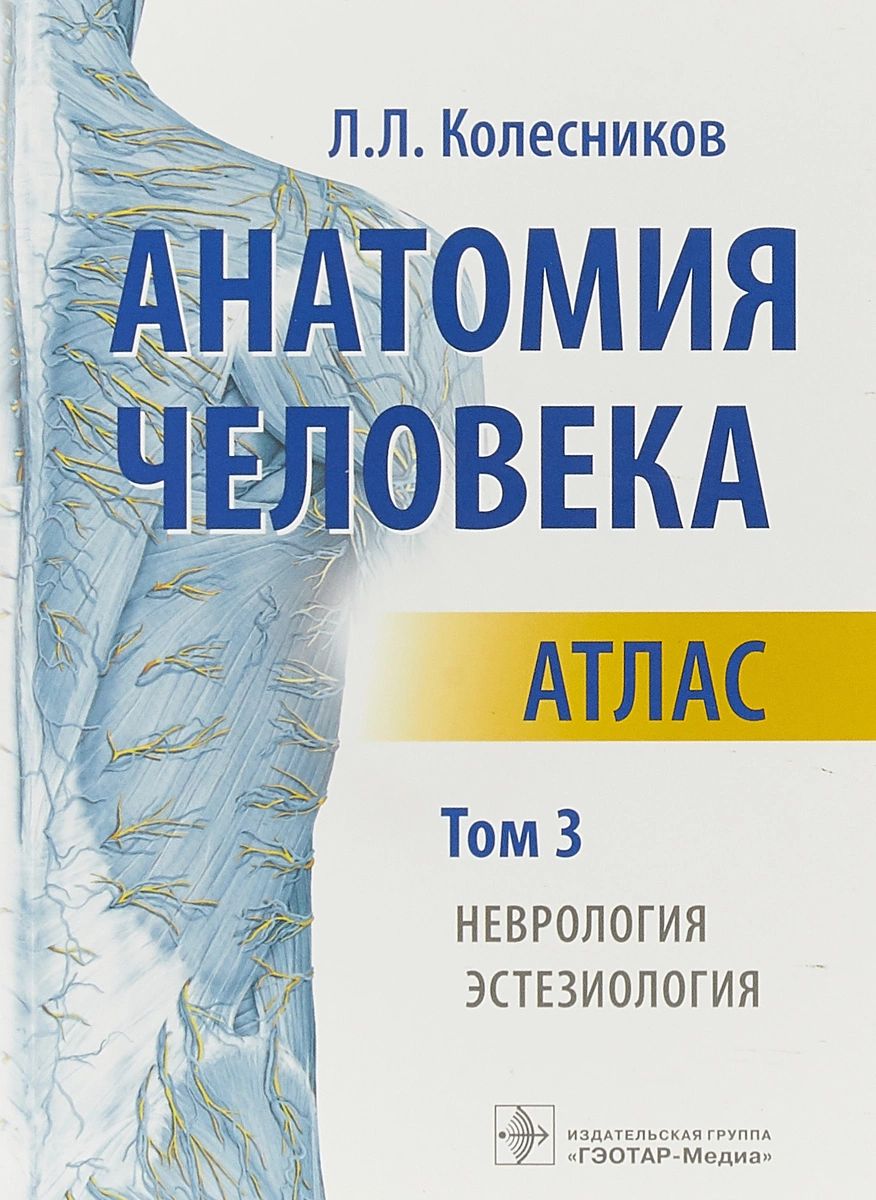 фото Книга анатомия человека. том 3. неврология, эстезиология. атлас гэотар-медиа