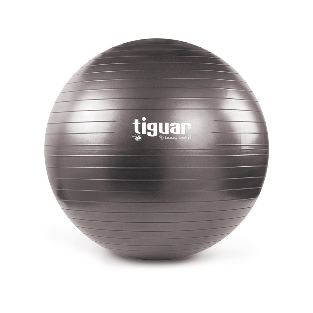 Casall С„РёС‚Р±РѕР» Gym Ball 80cm