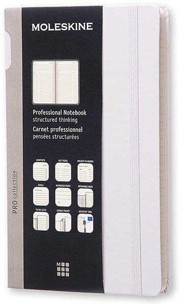 

Блокнот Moleskine Professional Large (PROPFNTB3HG24) в линейку (Grey), Professional Large в линейку