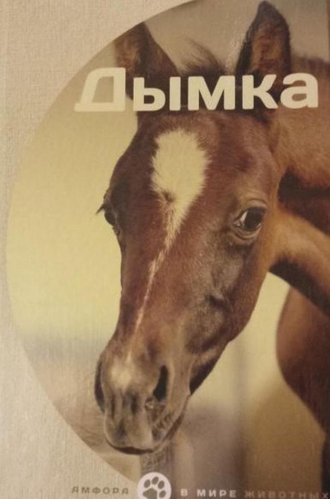 

Дымка