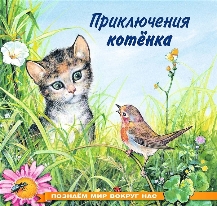 

Приключения котенка