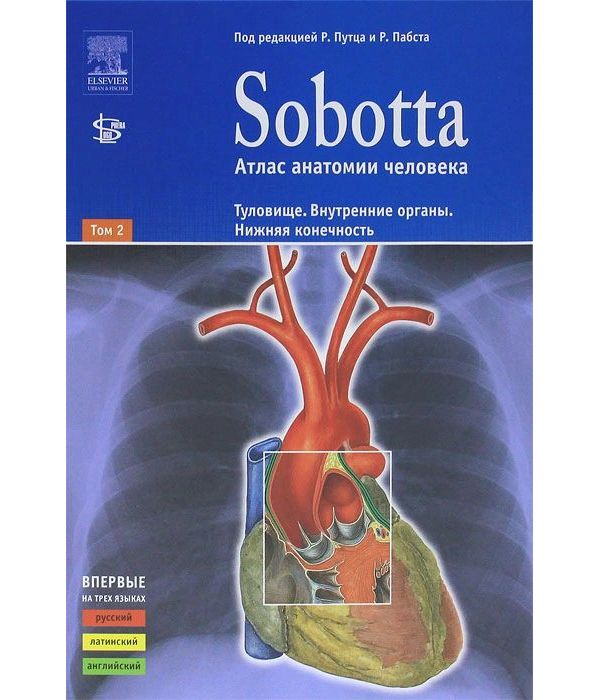 фото Книга sobotta. атлас анатомии человека. в 2-х томах. том 2: туловище. внутренние органы... рид элсивер